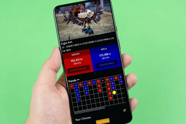 Real-time sports and live derby cockfighting betting action