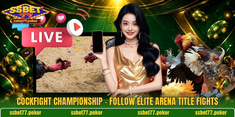 Cockfight Championship - Follow Elite Arena Title Fights
