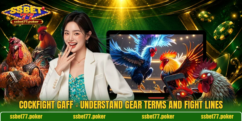 Cockfight Gaff - Understand Gear Terms And Fight Lines