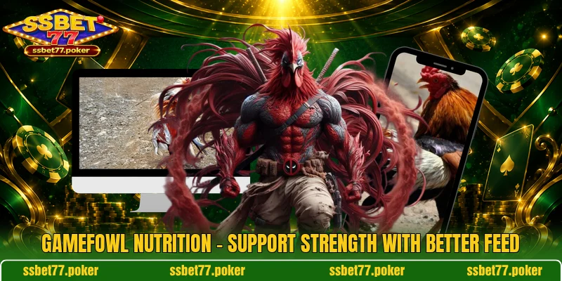 Gamefowl Nutrition - Support Strength With Better Feed