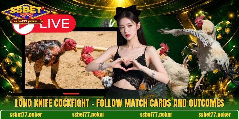 Long Knife Cockfight - Follow Match Cards And Outcomes