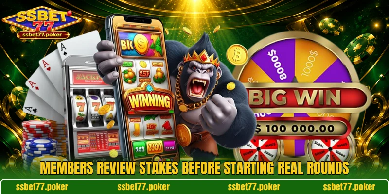 Members review stakes before starting real rounds