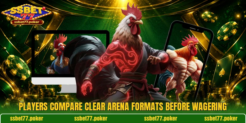 Players compare clear arena formats before wagering Players compare clear arena formats before wagering