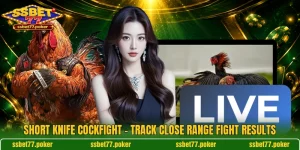 Short Knife Cockfight - Track Close Range Fight Results